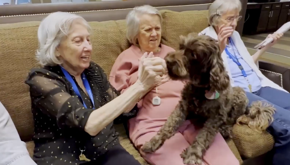 Screenshot 2025-12-01 111236